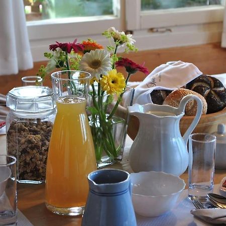 Grosszuegige Ferienwohnung Am Skigebiet Boedele Mit Rheintalblick Dornbirn Zewnętrze zdjęcie